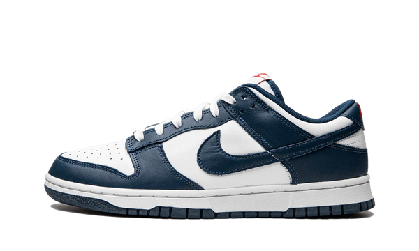 Nike Dunk Low Valerian Blue